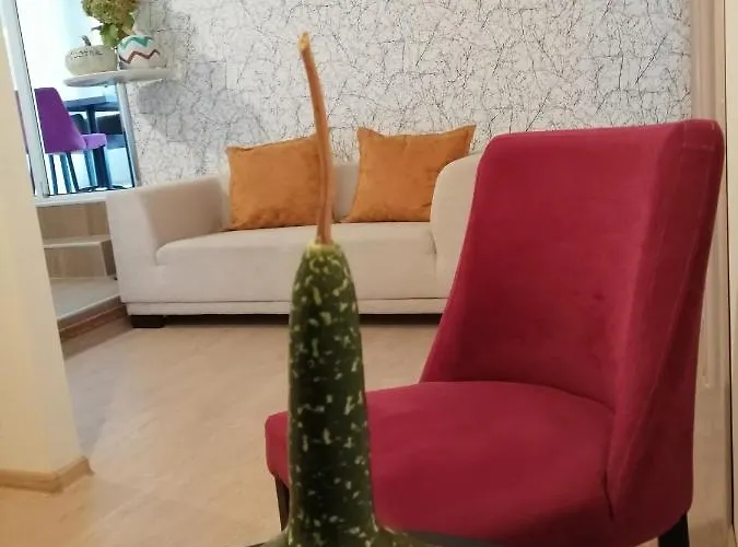 Hostel Denica Skopje